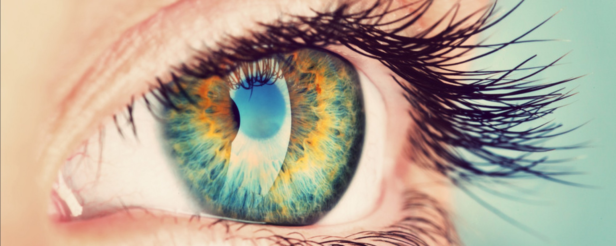 dépistage pathologies oculaires